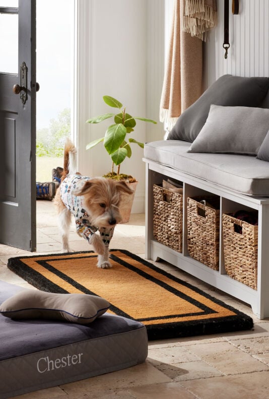 Image of dog on entryway mat